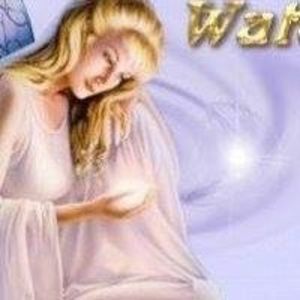 Meet your Posher, Jeanette